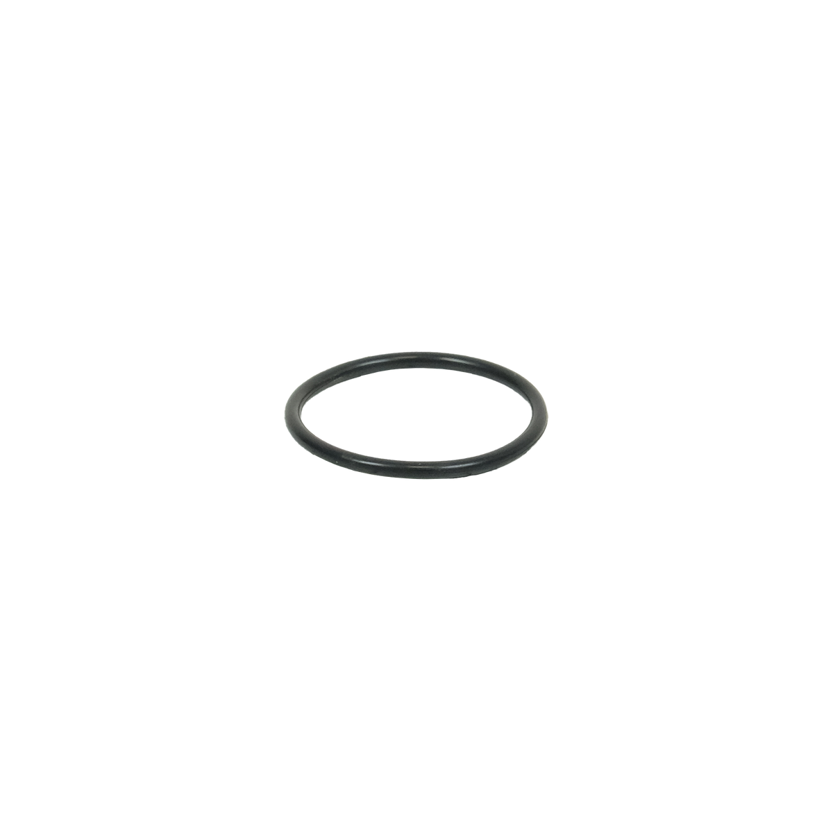 O-Ringe 2,62 mm - 70 shore – 1 | 40596601_Freisteller.png