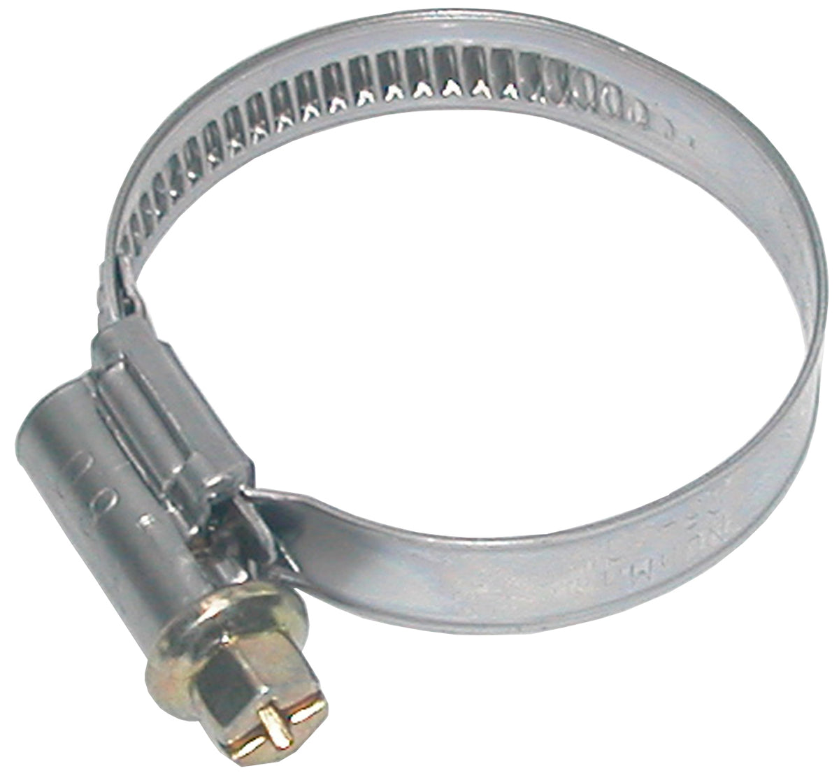 Schneckengewindeschellen Typ TORRO – 1 | IM0000572.JPG