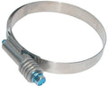 Schneckengewindeschellen Typ Pebra – 1 | IM0000579.JPG