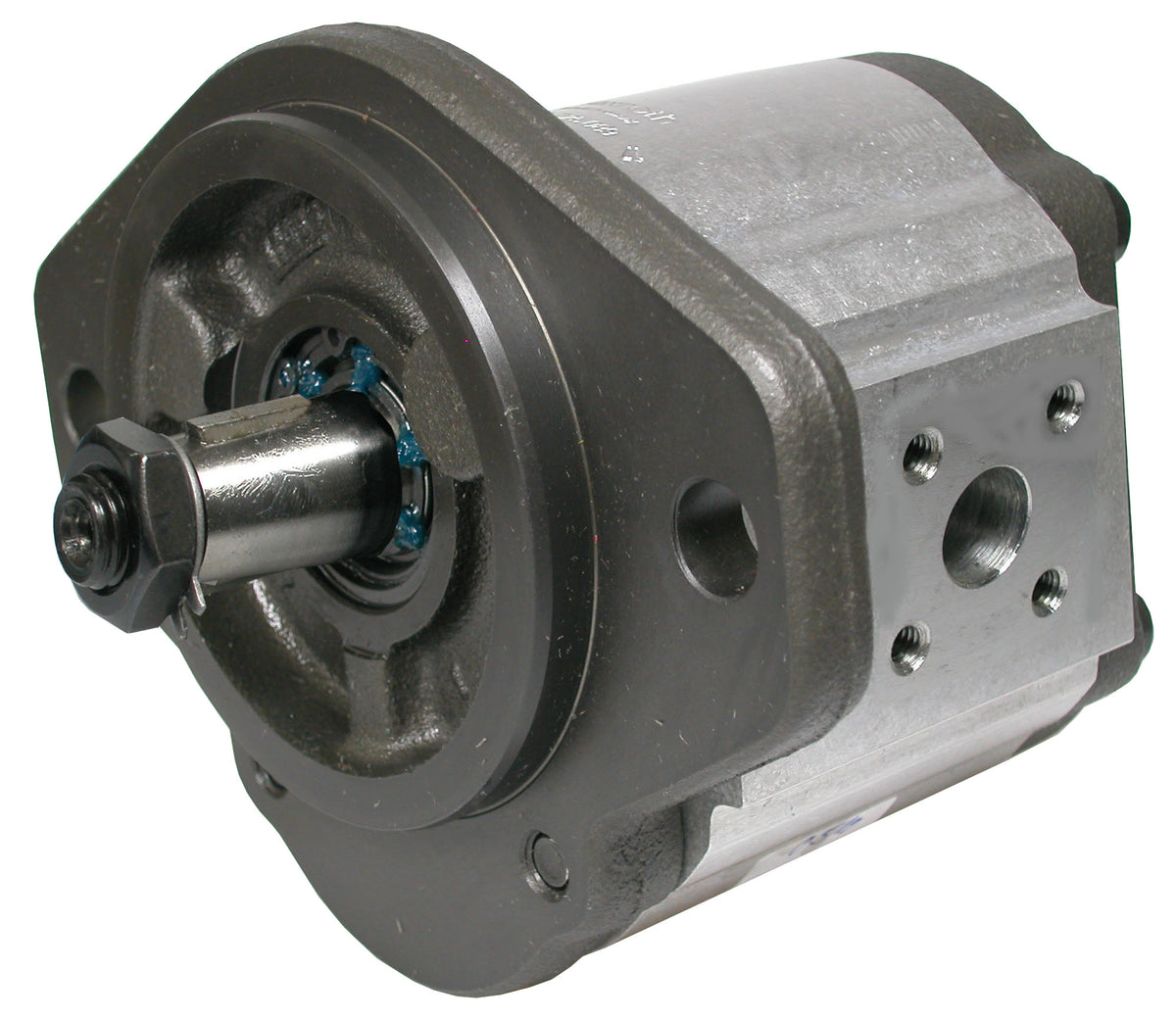 Außenzahnradpumpen STEYR – 1 | IM0000700.JPG