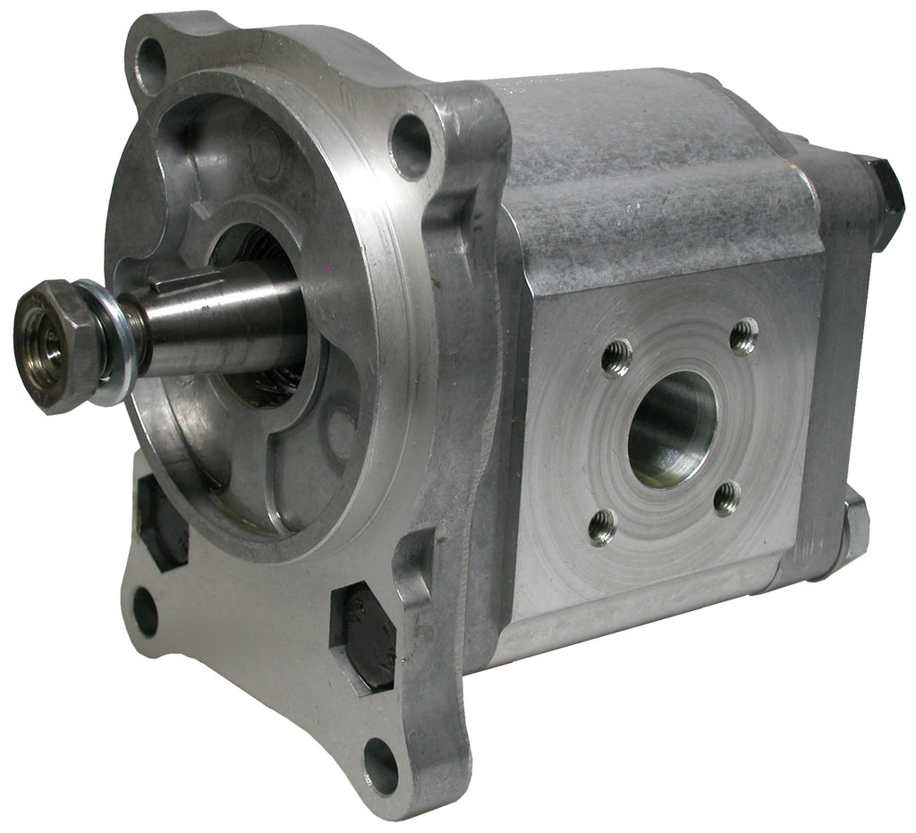 Außenzahnradpumpen CASE – 1 | IM0000710.JPG