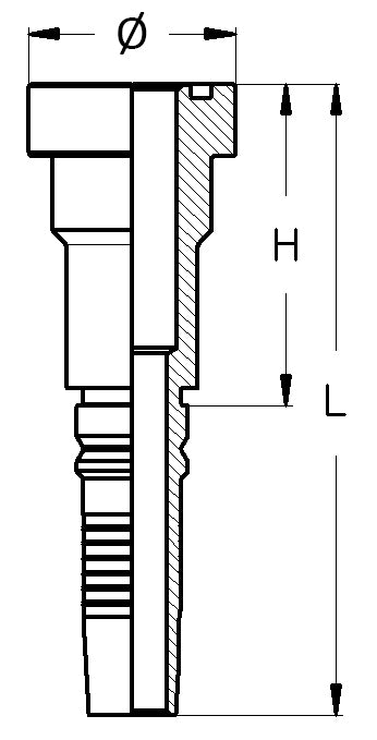 SFS-S Supercat – 2 | IM0000787.JPG