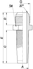 AGJ (J.I.C.) – 2 | IM0000940.JPG