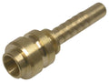 Stecknippel – 1 | IM0000997.JPG