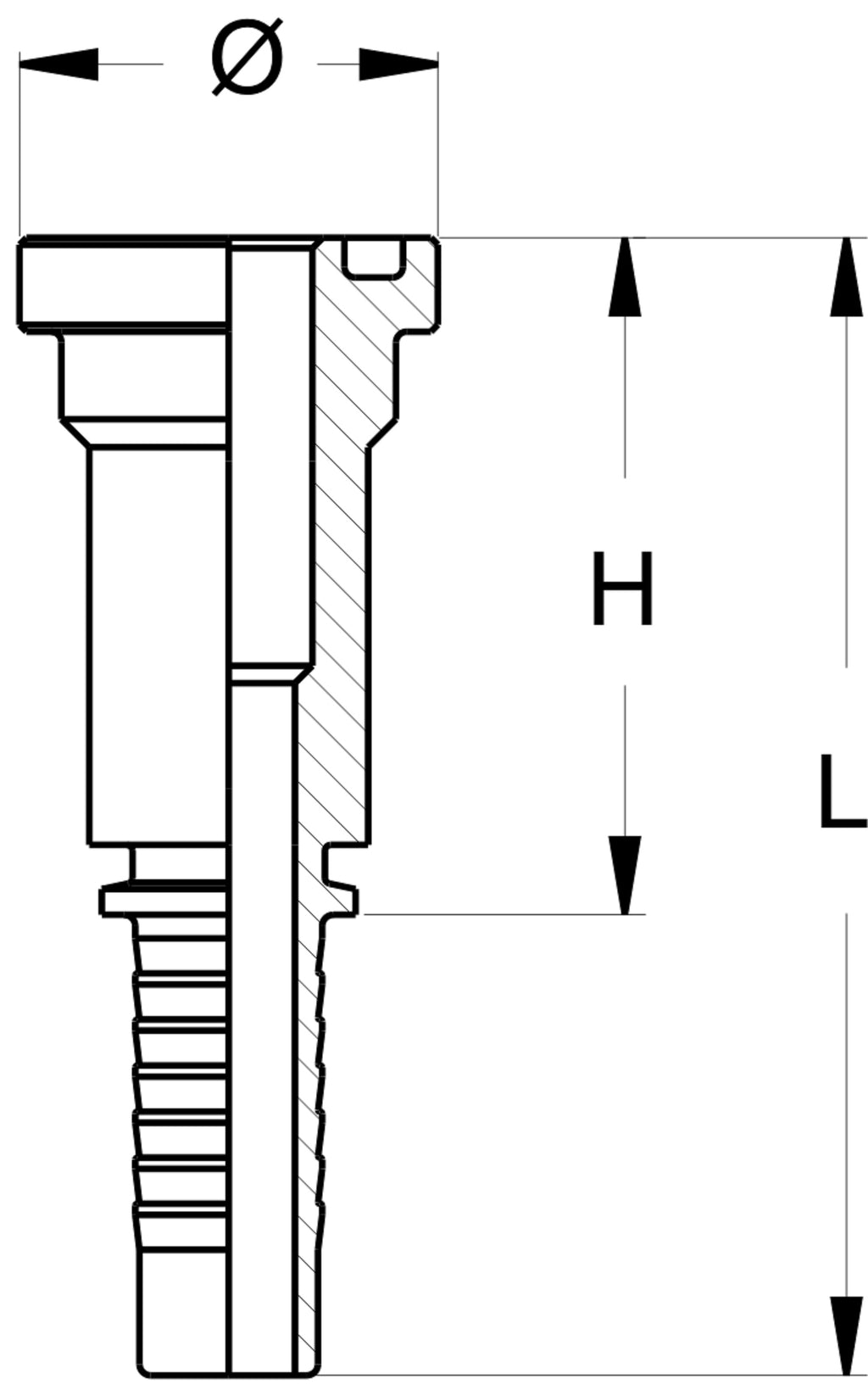 SFL – 2 | IM0001021.JPG