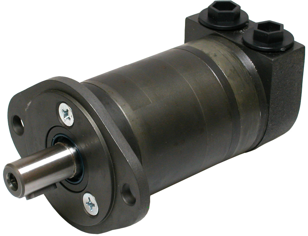Ölmotoren MM SF C – 1 | IM0001099.JPG