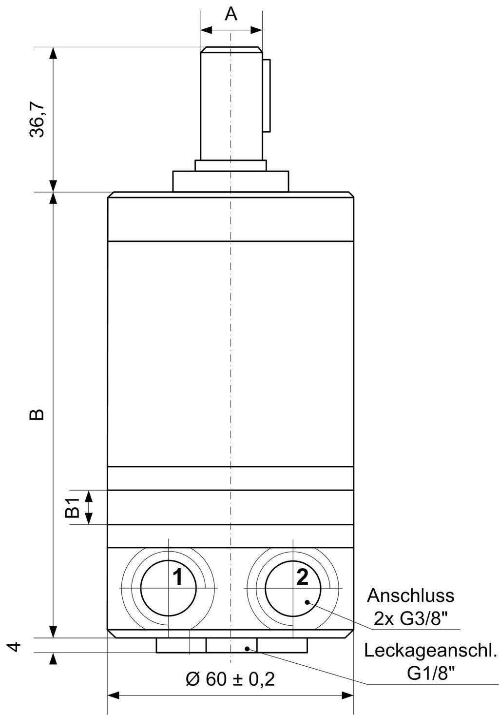 Ölmotoren MM S C – 3 | IM0001101.JPG