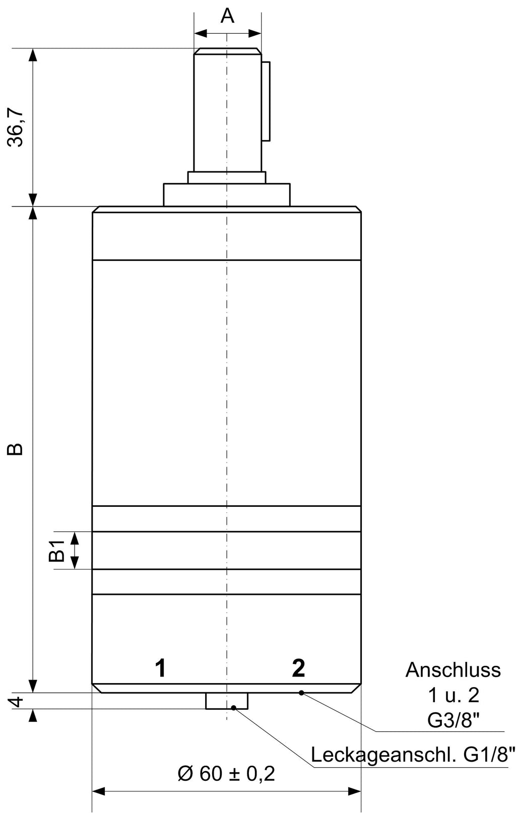 Ölmotoren MM C – 3 | IM0001109.JPG