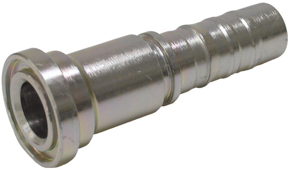 SFS-CS – 1 | IM0001423.JPG
