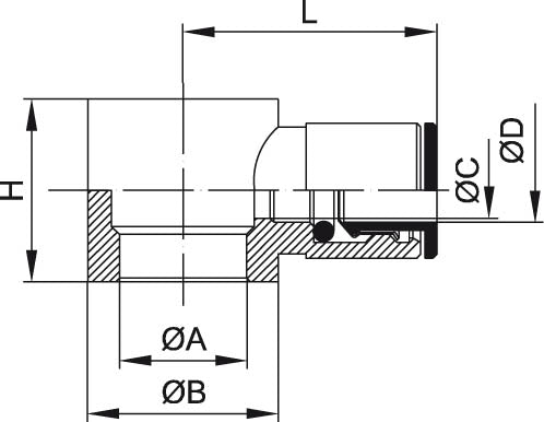 Ringstücke – 2 | IM0001532.JPG