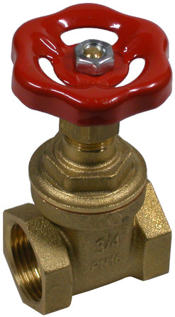 Muffenschieber – 1 | IM0001815.JPG