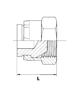 Dichtkegel Verschlusskappen, metrisch – 2 | IM0002033.JPG