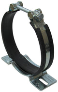 Konsolenschellen – 1 | IM0002238.JPG