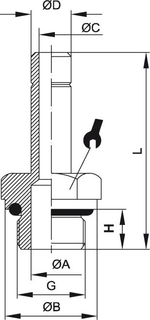Gewindeanschlussstecker – 2 | IM0002540.JPG