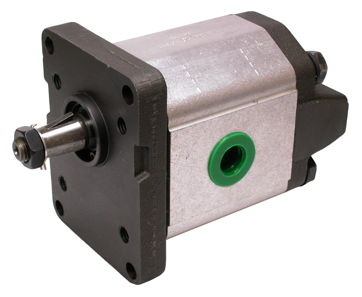 Außenzahnradpumpen Industrie – 1 | IM0002737.JPG