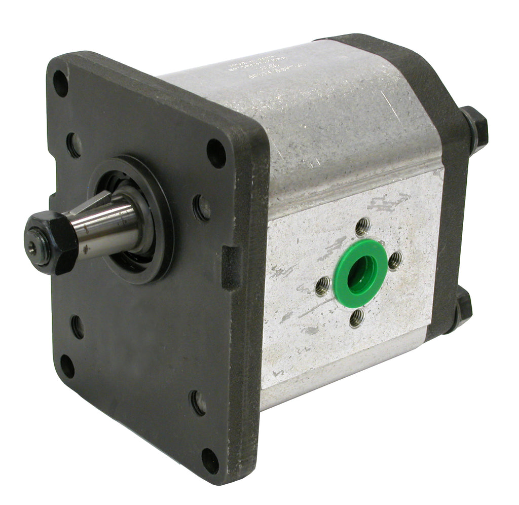 Außenzahnradpumpen Industrie – 1 | IM0002739.JPG