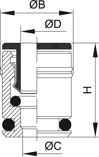 Einpress-Patronen – 2 | IM0003006.JPG