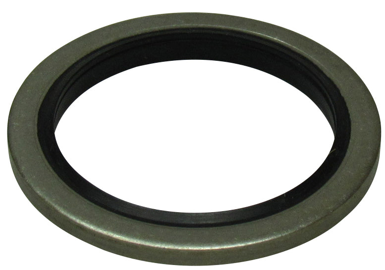 U-Seal Dichtringe – 1 | IM0003029.JPG