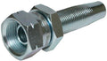 DKS – 1 | IM0003164.JPG