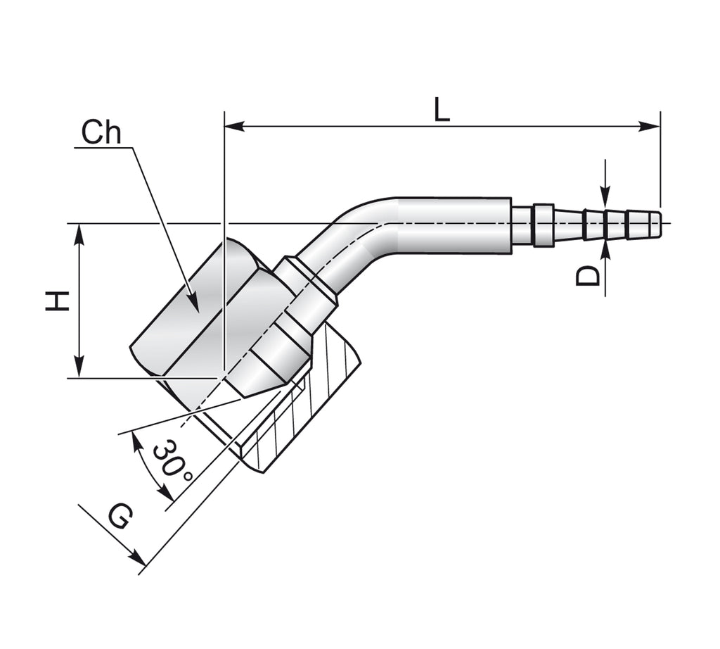 DKR 45° Minimess – 2 | IM0003189.JPG