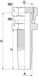 DKR – 2 | IM0003203.JPG