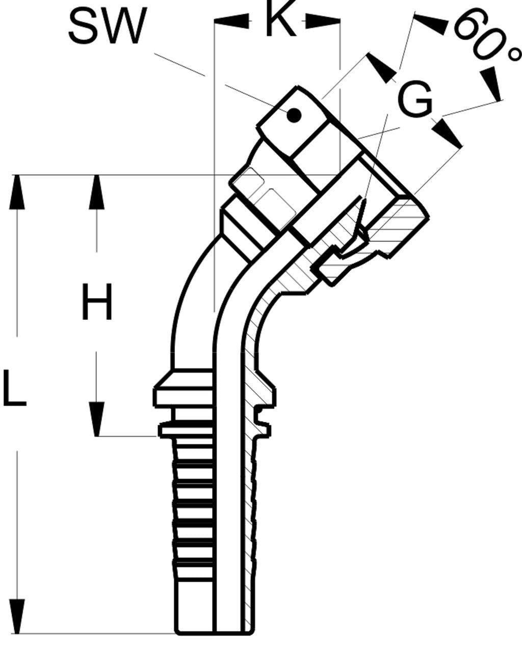 DKM 45° – 2 | IM0003267.JPG