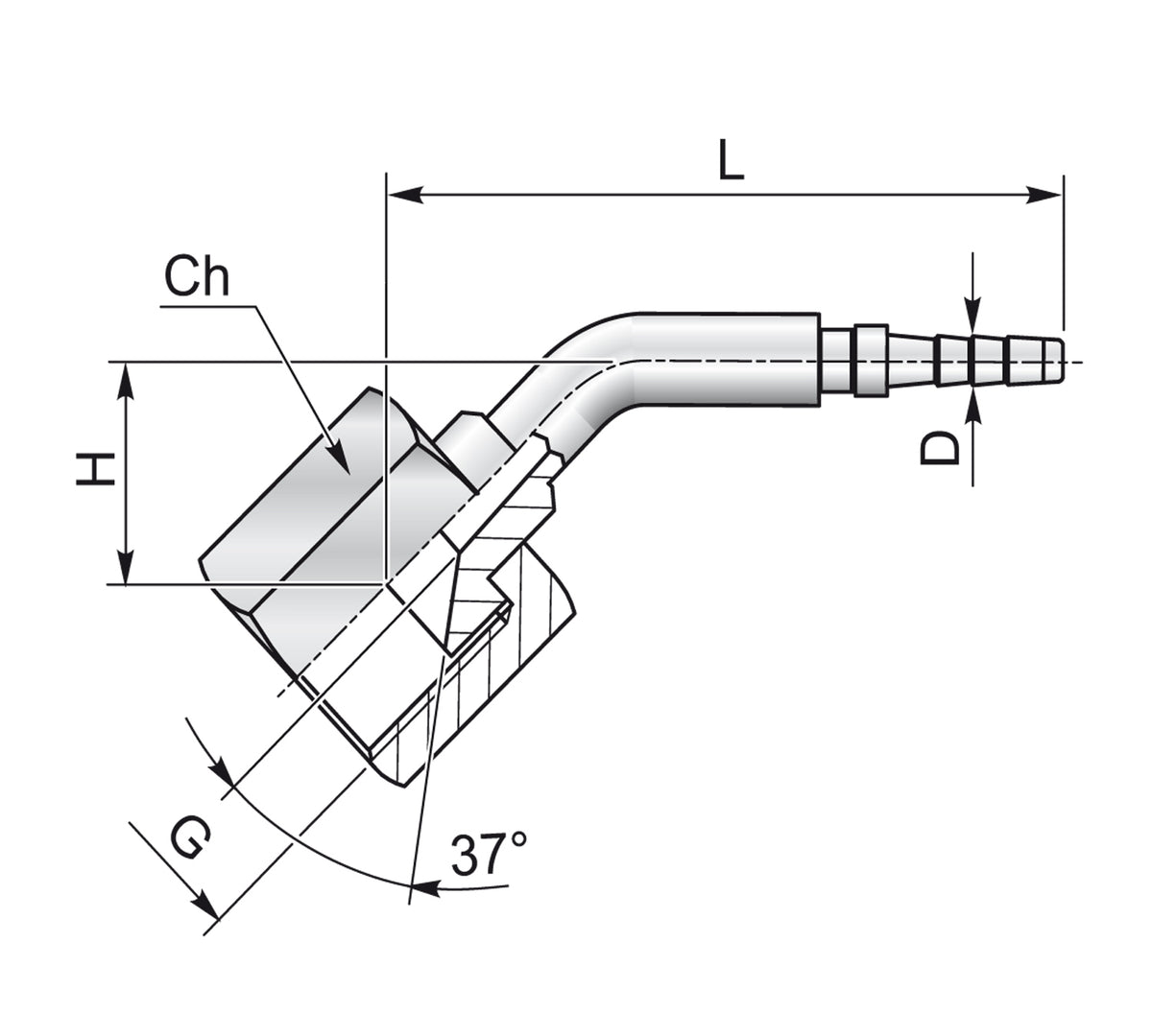 DKJ 45° Minimess – 2 | IM0003313.JPG