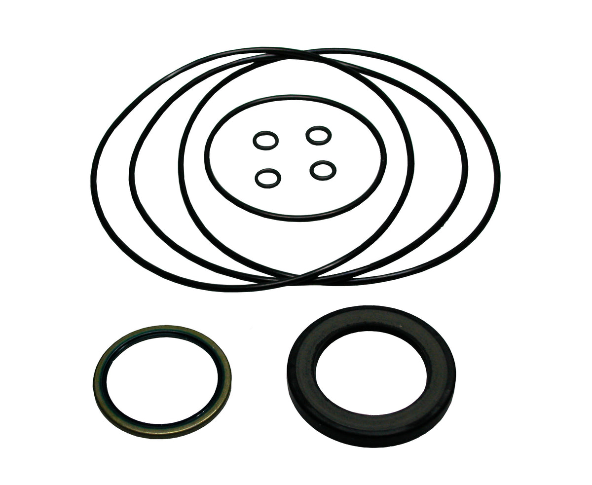 Dichtsätze für Ölmotoren – 1 | IM0003411.JPG