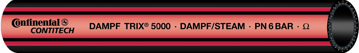 Dampf-TRIX 5000 – 1 | IM0003445.JPG