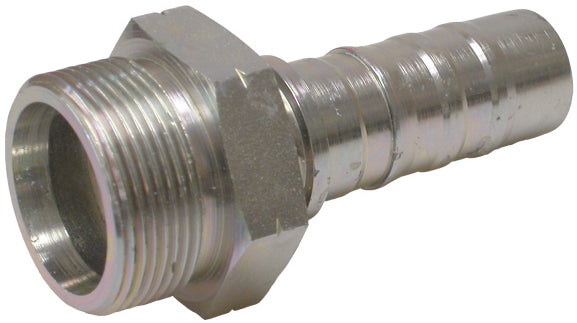 CEL-CS – 1 | IM0003464.JPG