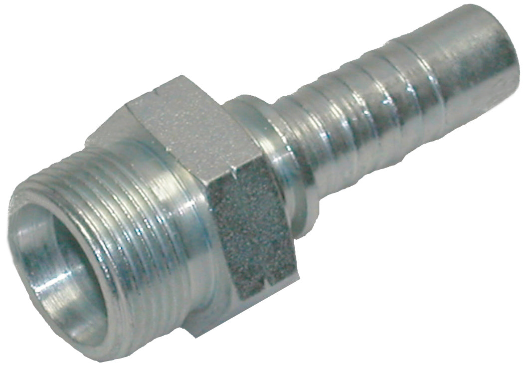 CEF – 1 | IM0003465.JPG