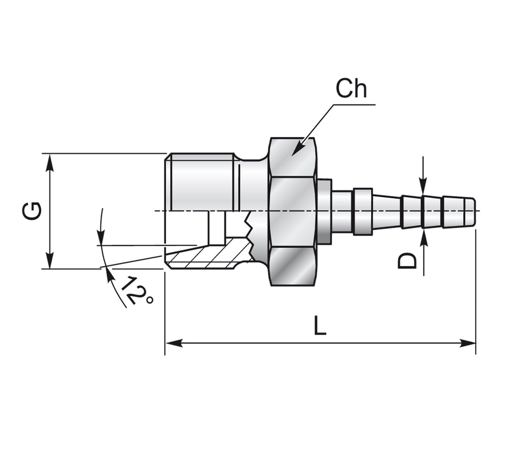 CELL/CEL Minimess – 2 | IM0003471.JPG