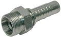 CEL – 1 | IM0003472.JPG