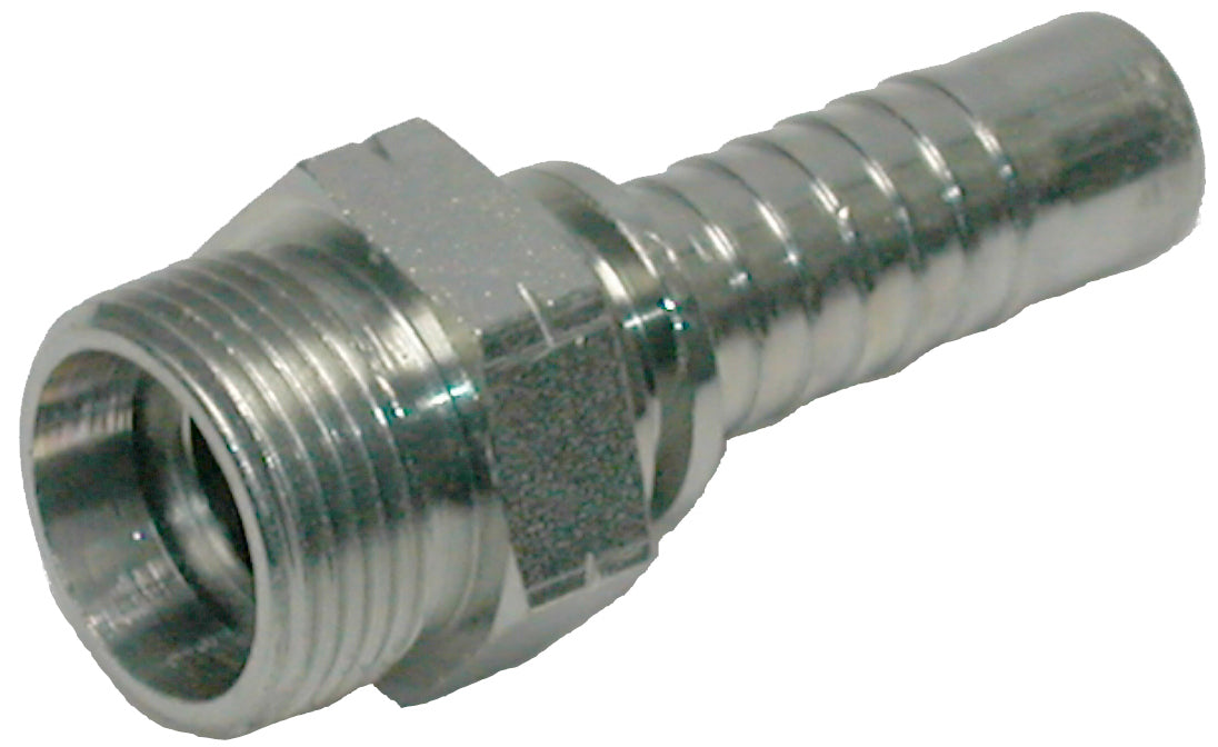 CEL – 1 | IM0003472.JPG
