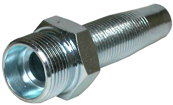CEL – 1 | IM0003474.JPG