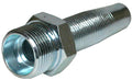 CEL – 1 | IM0003474.JPG
