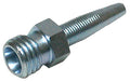 CEL – 1 | IM0003476.JPG