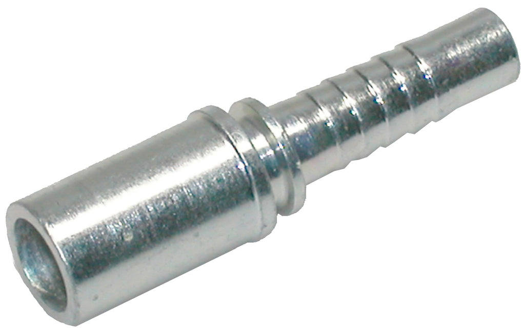 BEF – 1 | IM0003559.JPG