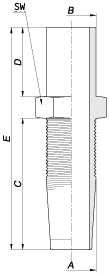 BES – 2 | IM0003563.JPG