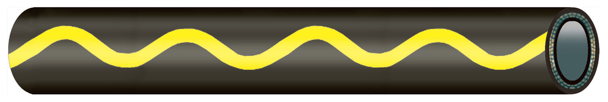 Goldschlange – 1 | IM0003603.JPG