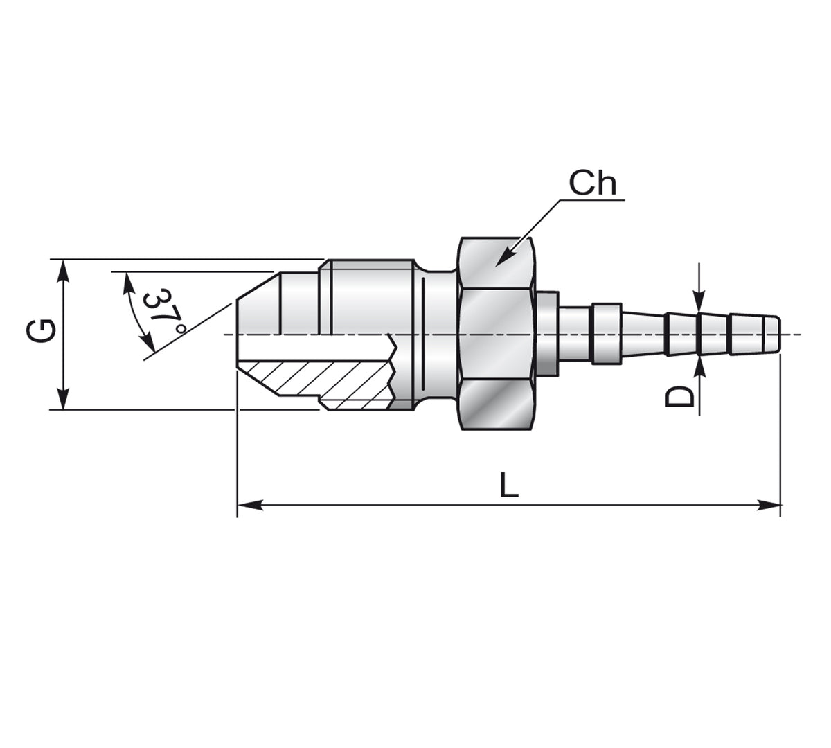 AGJ Minimess – 2 | IM0003803.JPG