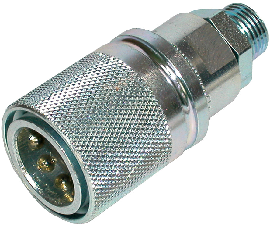 ARGUS SVK - Muffen – 1 | IM0004017.JPG