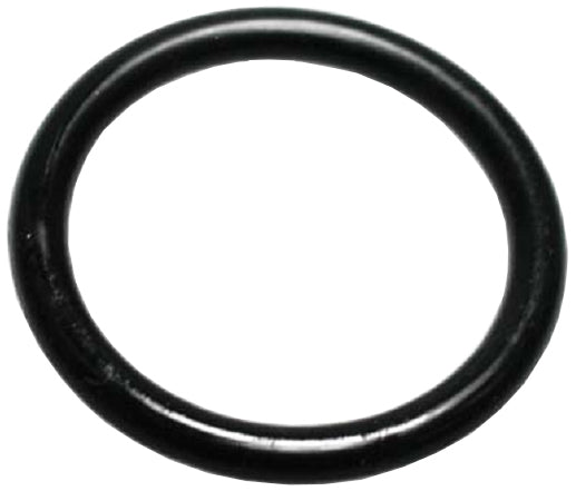 Dichtringe - PTFE – 1 | IM0004576.JPG