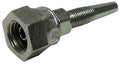 DKOL – 1 | IM0005565.JPG