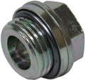 Verschlussschrauben – 1 | IM0016522.JPG