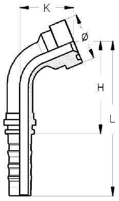 SFS-CS 67,5° Supercat – 2 | IM0019350.JPG