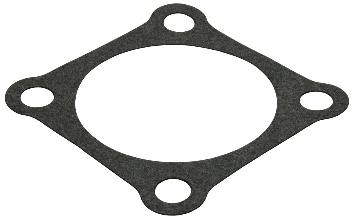 Pumpendichtung – 1 | IM0019930.JPG
